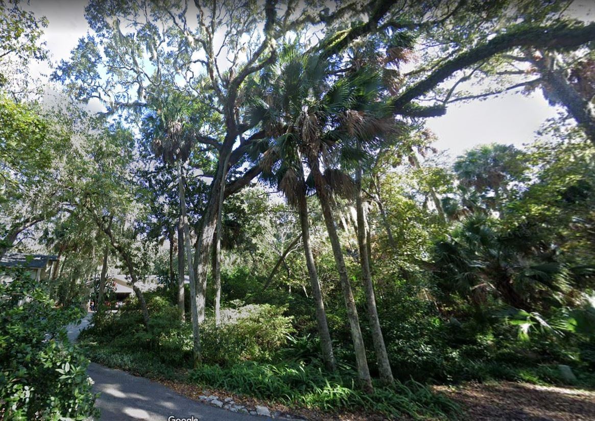 1907 North Sherry- Gaby Tree- 2021