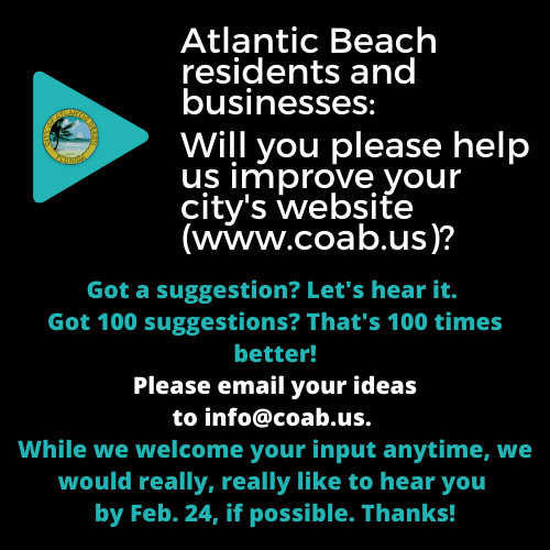 WebsiteCitizenImprovementProjectCitizenInputFebruary2020