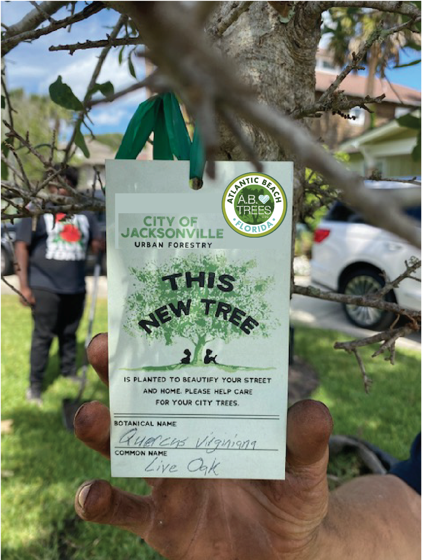 COJTreeprogramhanger