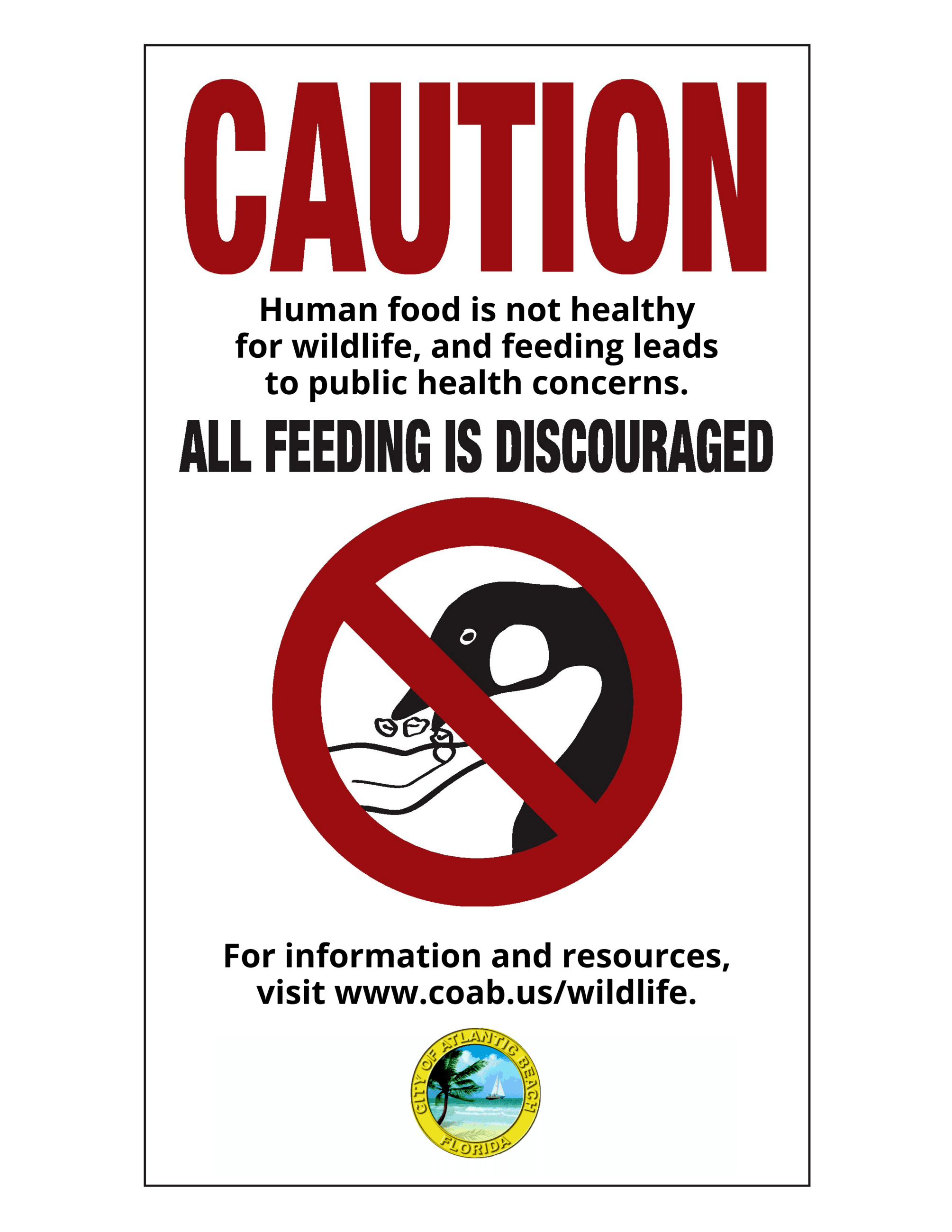 GeeseFlyerFinalDecember2020