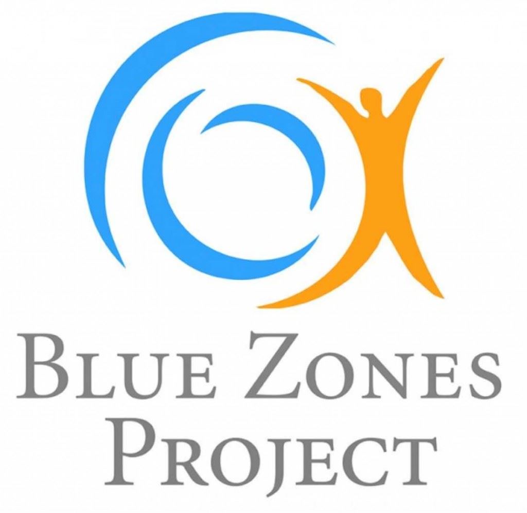 BlueZone-Logo