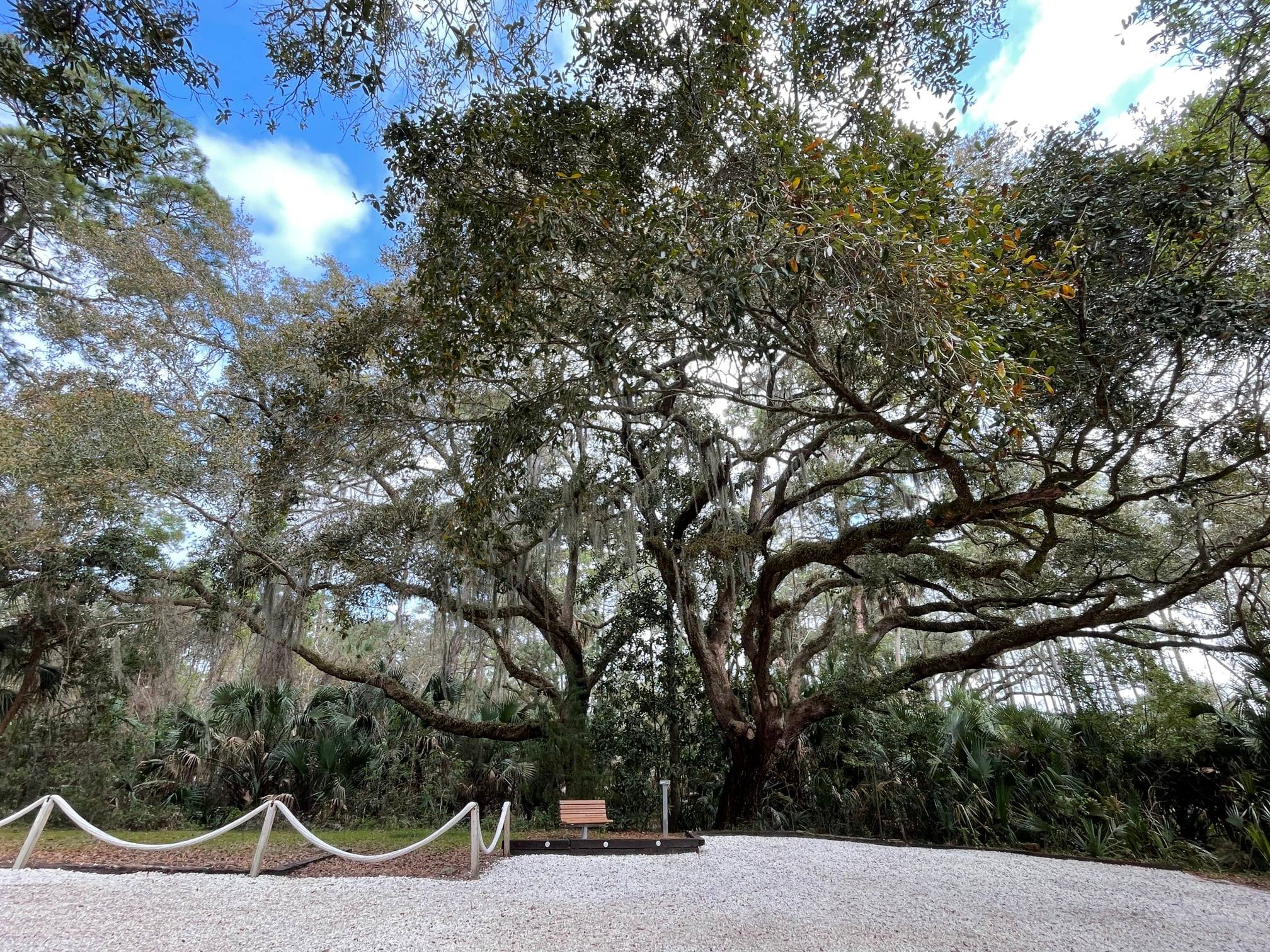 PreservationOaks - 1