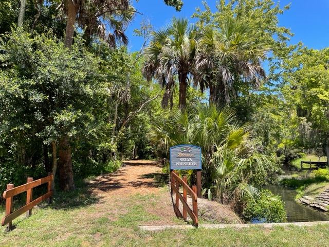 SelvaPreserveIMG_8379