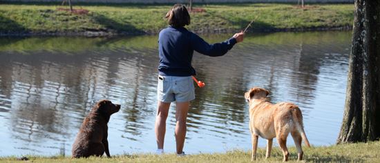 A photo of a dog park user and two dogs near the pond